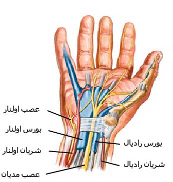 سندروم تونل کارپال - کلینیک فیزیوتراپی و توانبخشی رادان